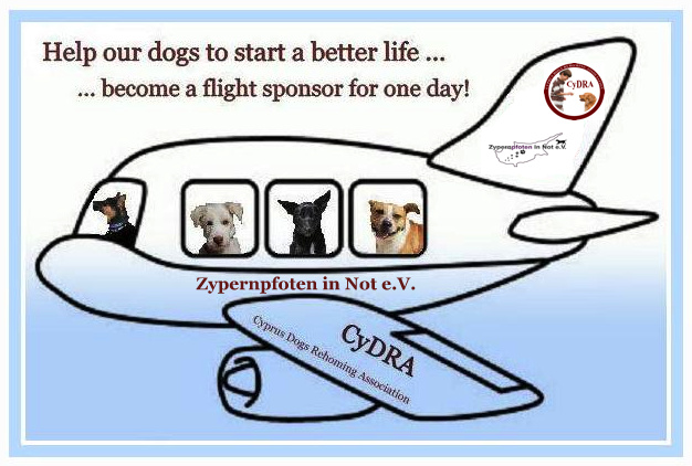 Flight SponsorshipII