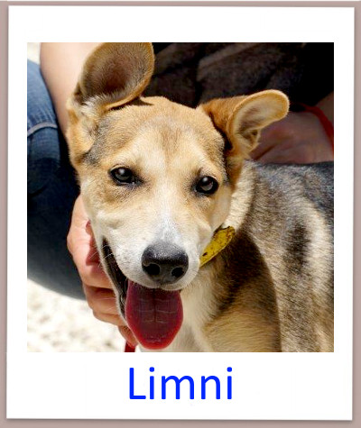 Limni prof