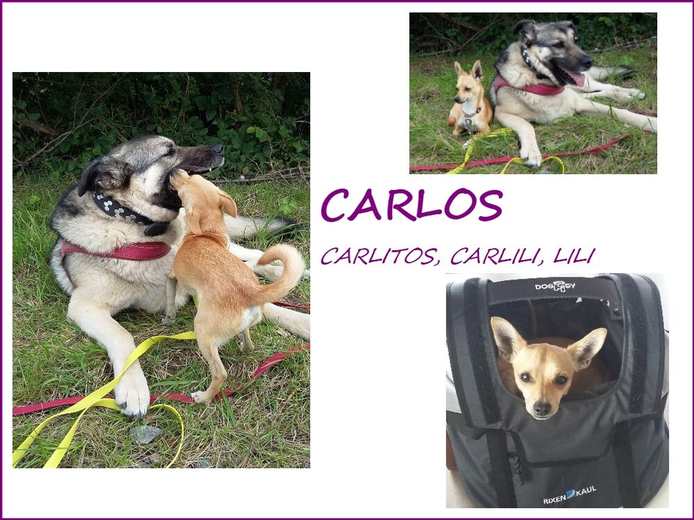 03 Carlos Collage