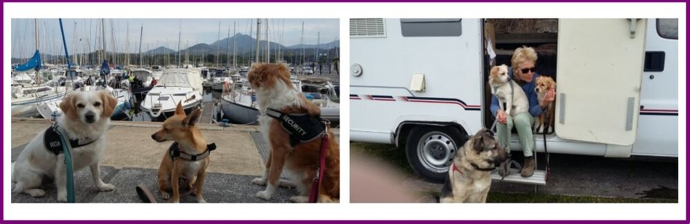 03 Carlos Collage Reise