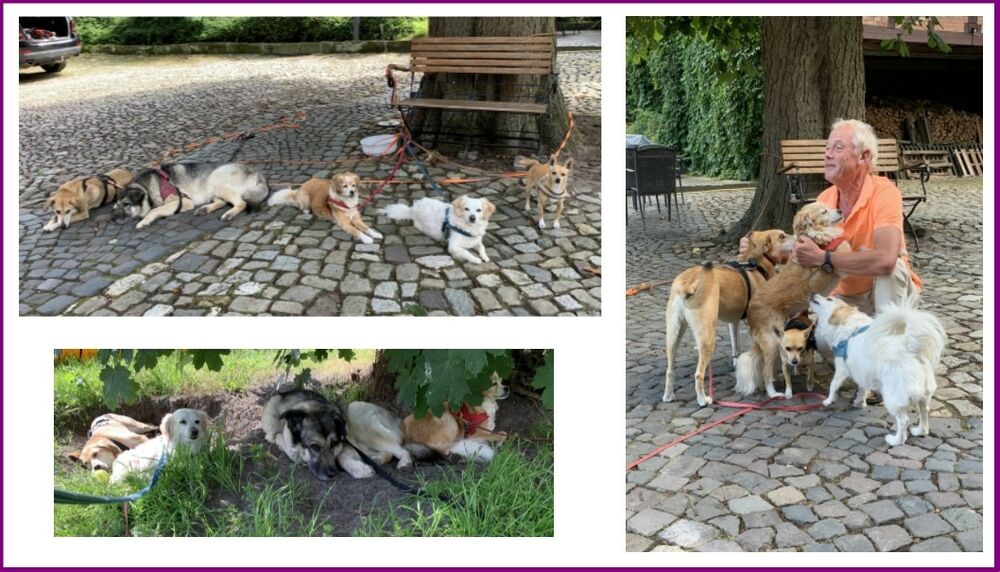04 Muck Collage Fünf