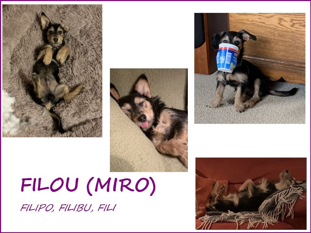 05 Miro Collage