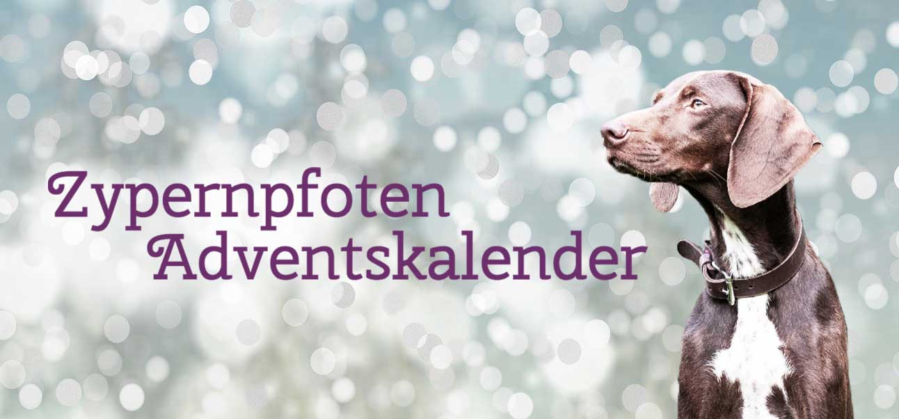 Kalender