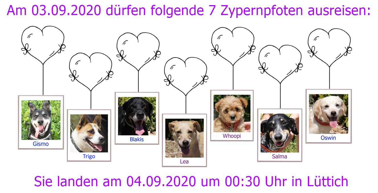 04 09 2020 Lüttich