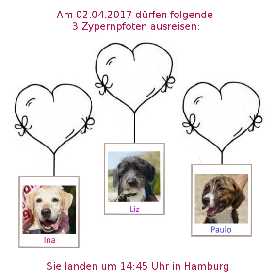02 04 17 HH