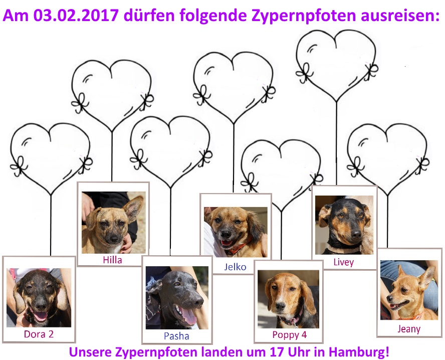 03 02 2017 Hamburg