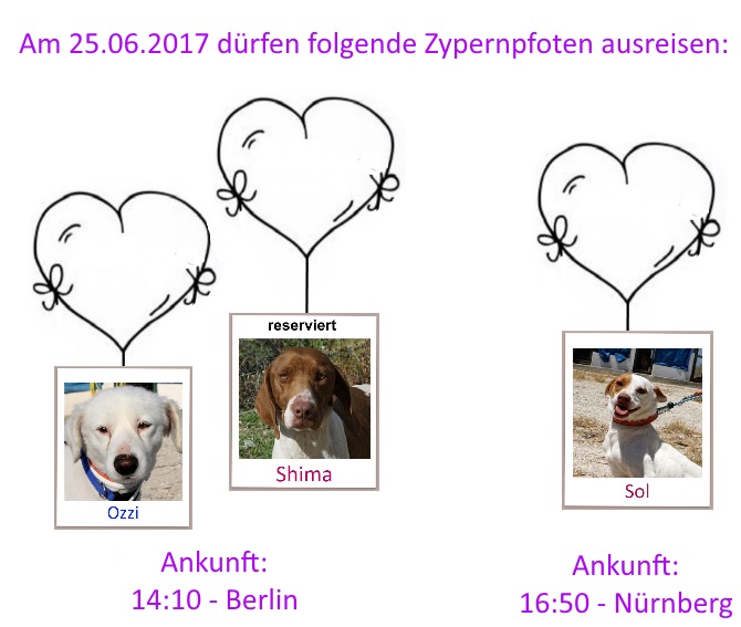 25 06 17 Berlin Nürnberg
