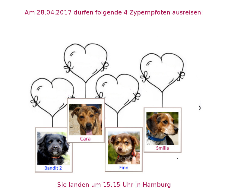28 04 17 HH