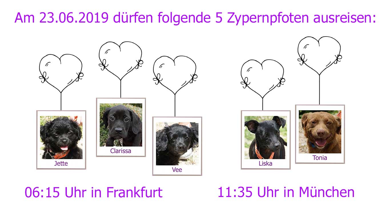 24 06 2019 FRA MUEx