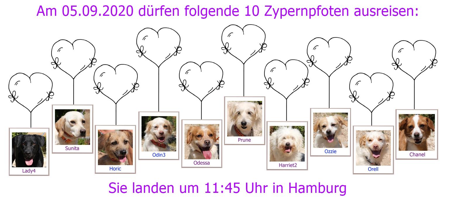 05 09 2020 HH