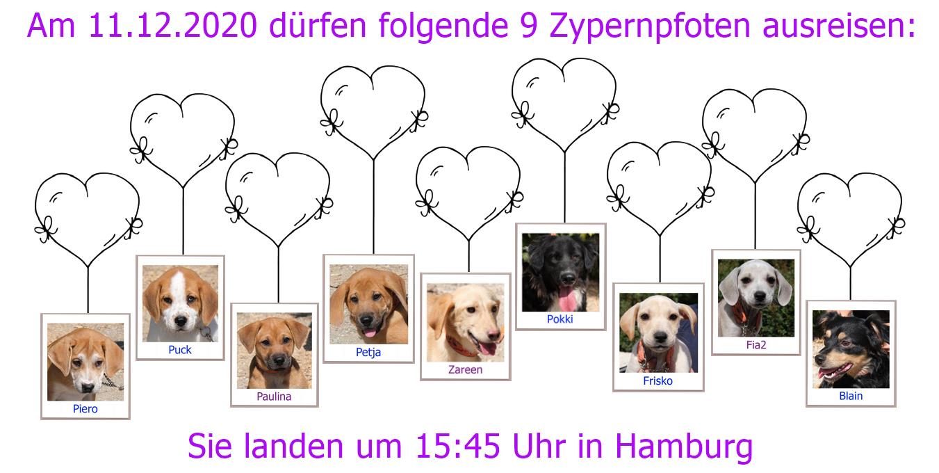 11 12 2020 HH