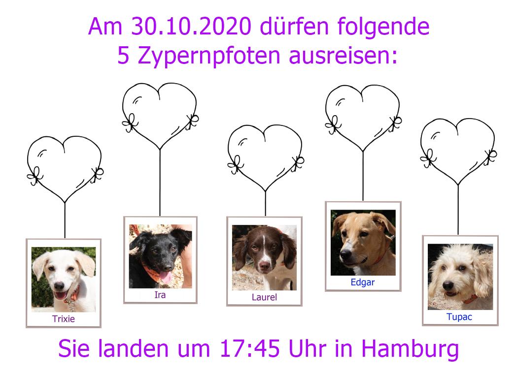 30 10 2020HH