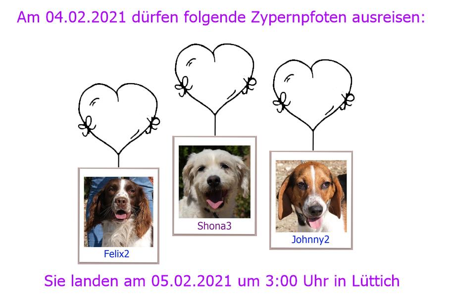 04. 05.02.2021 Lüttich