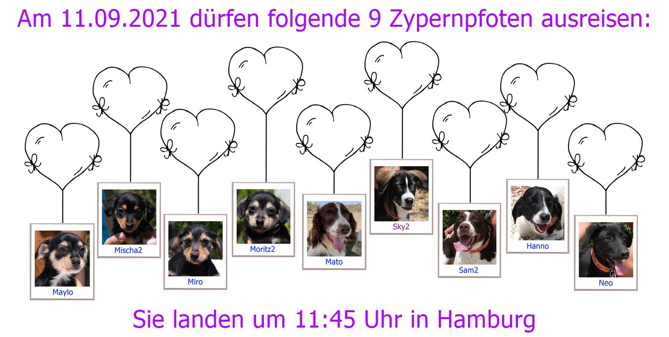 11.09.2021 HH