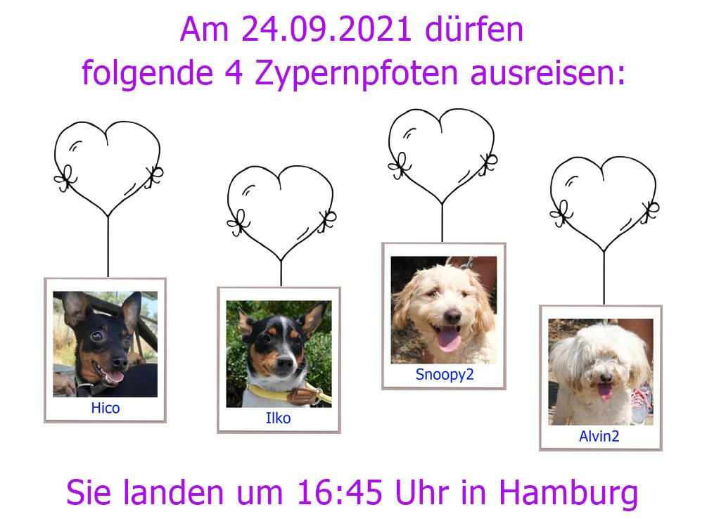 24 09 2021 HH