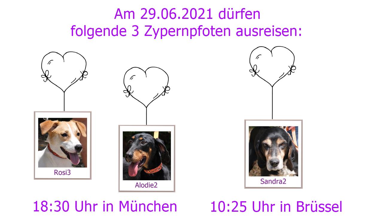 29 06 2021 MUC BRU