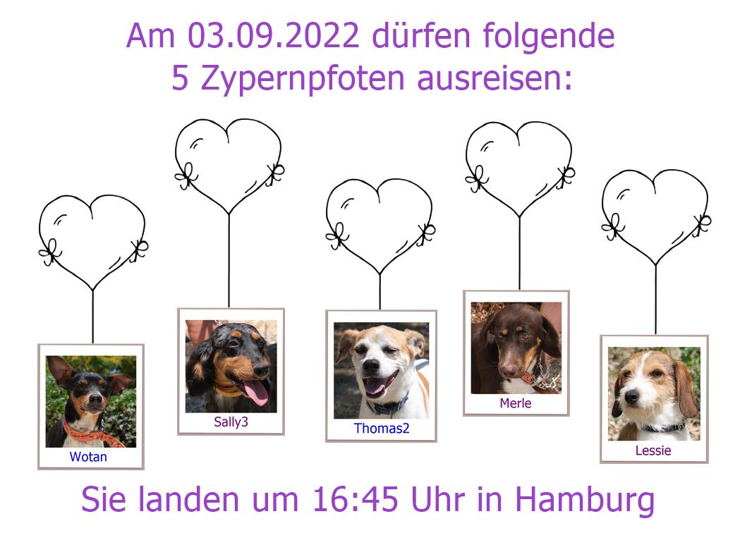 03 09 2022 HAM1