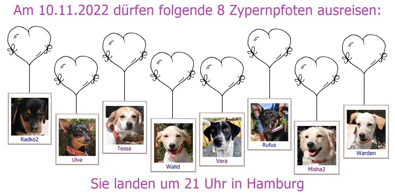 10 11 2022HAM