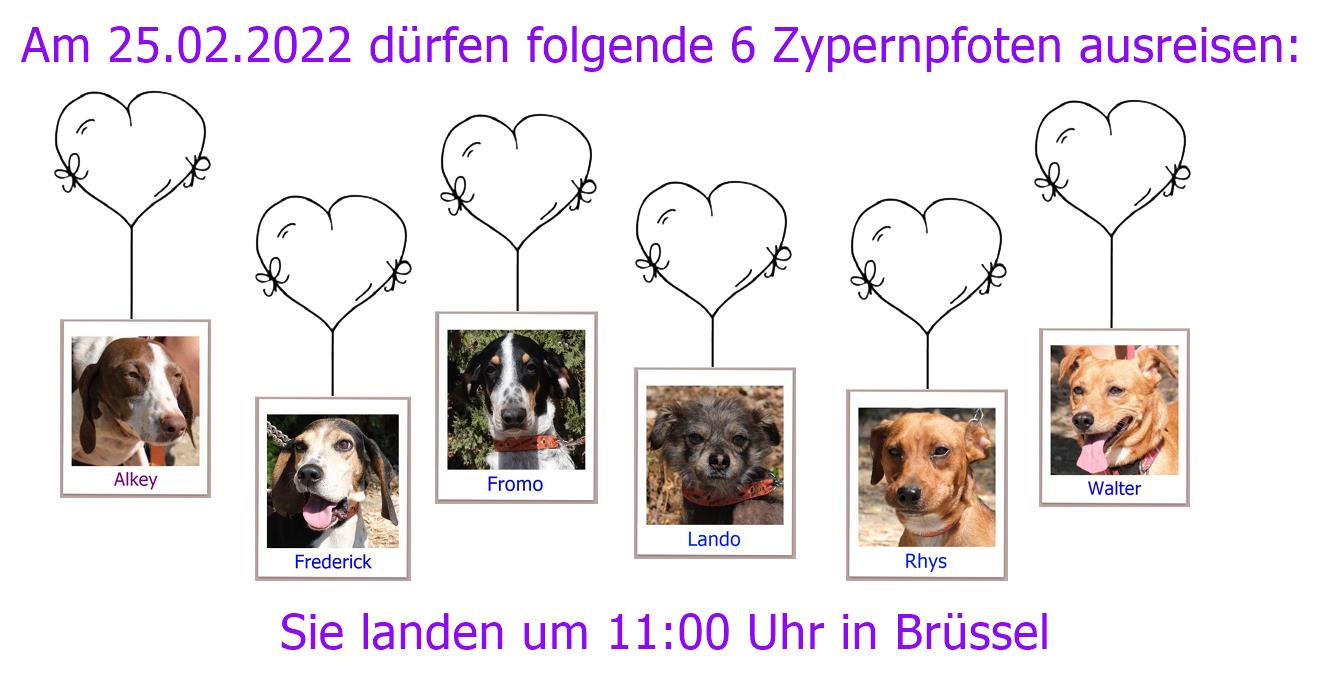 25 02 2022 BRU