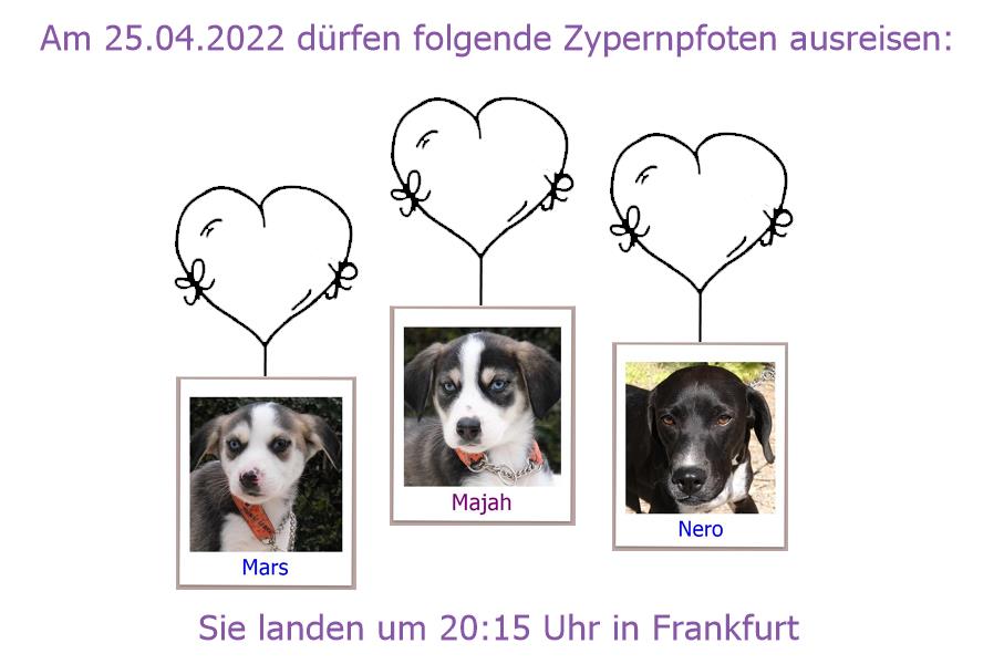 25 04 2022 FRA