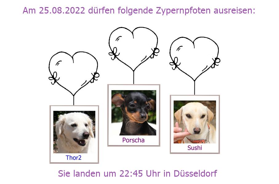 25 08 2022 DUS1