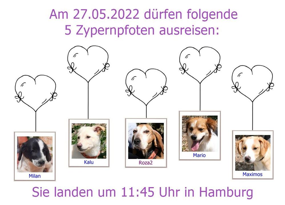 27 05 2022 HH