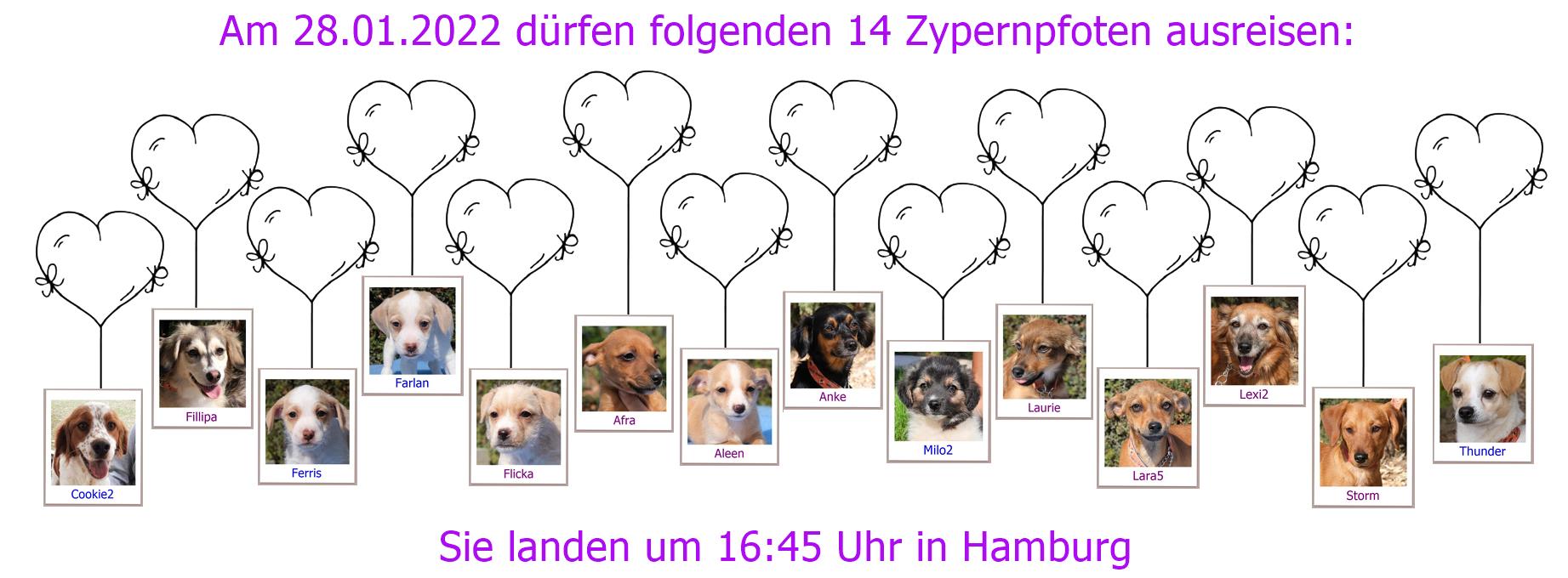 28 01 2022 HAM