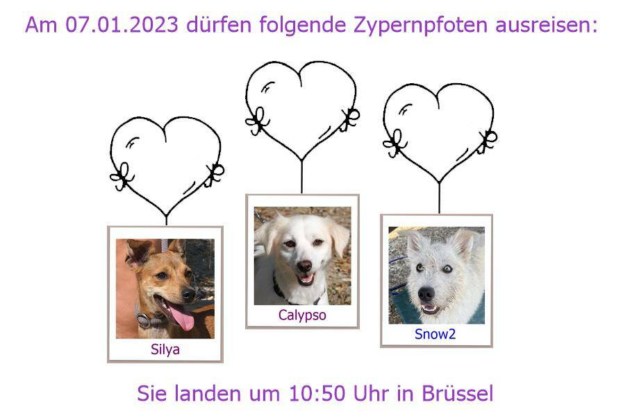 07 01 2023 BRU