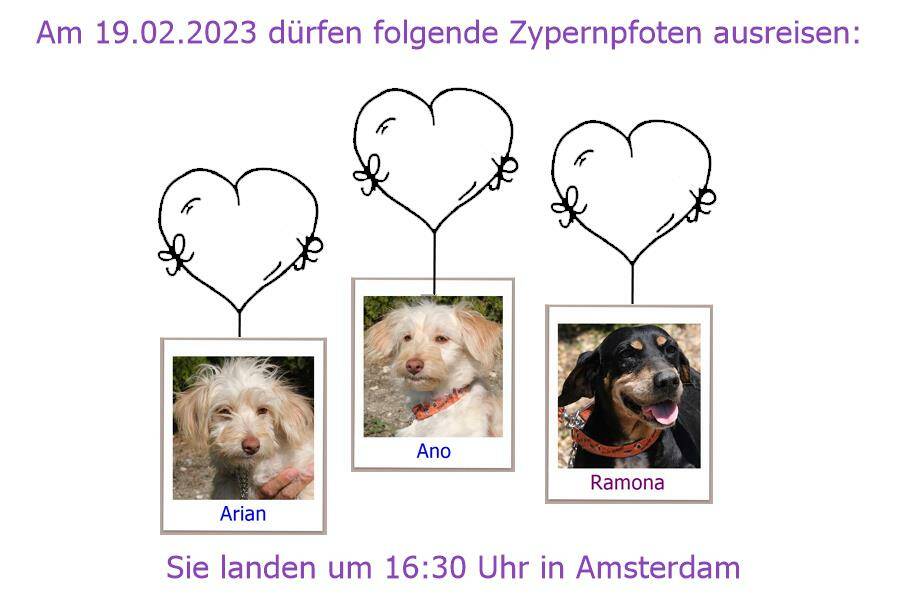19 02 2023 AMS