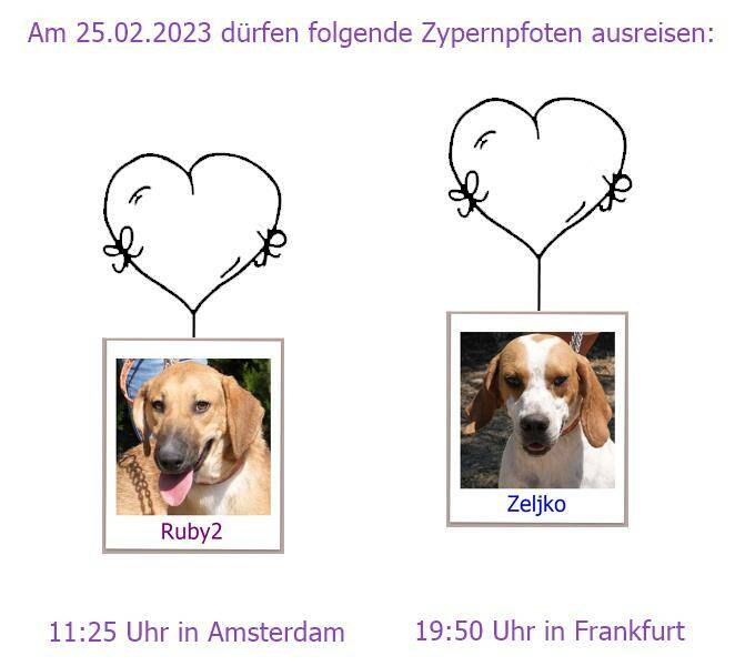 25 02 2023 AMS FRA