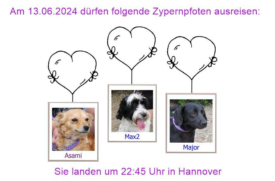 29 04 24 HH