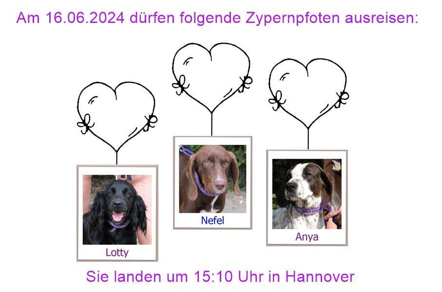 29 04 24 HH