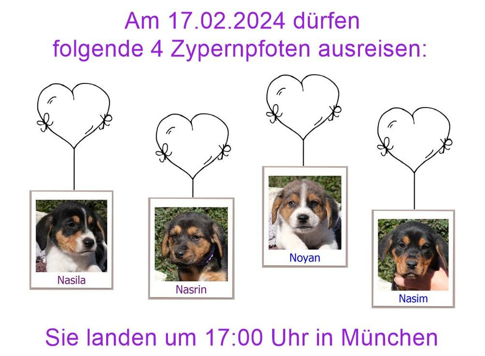 24 05 2023 HH