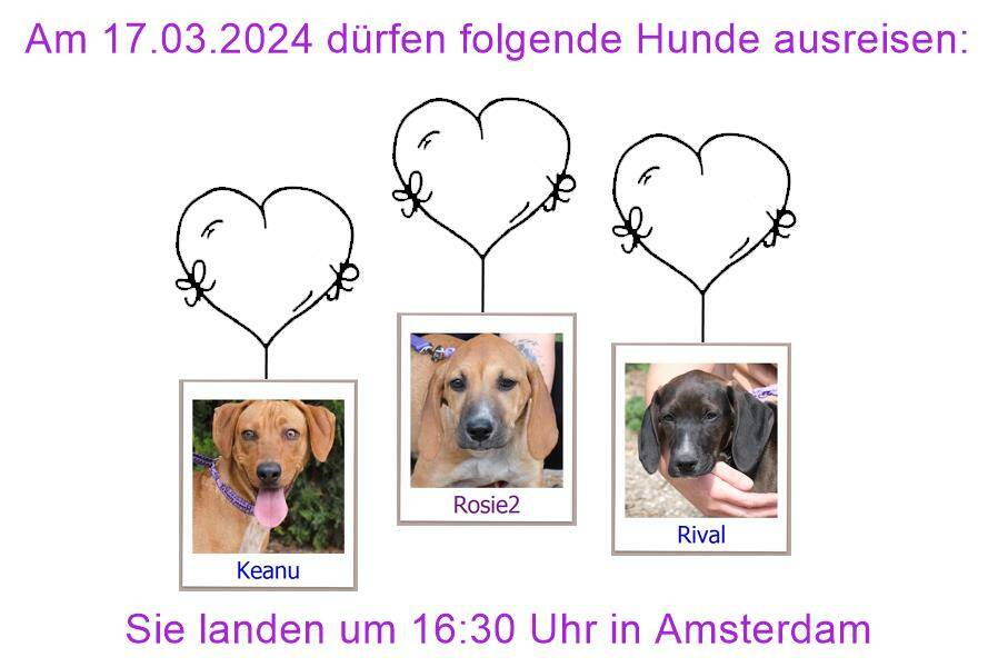 24 05 2023 HH