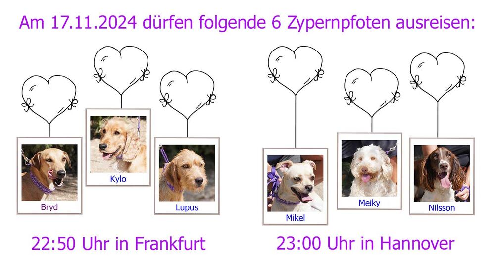 29 04 24 HH