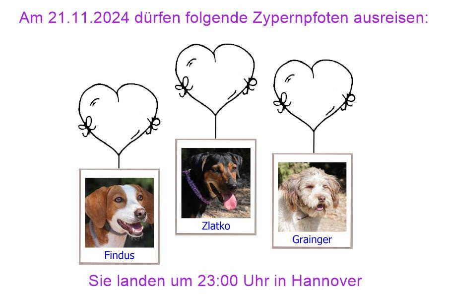 29 04 24 HH