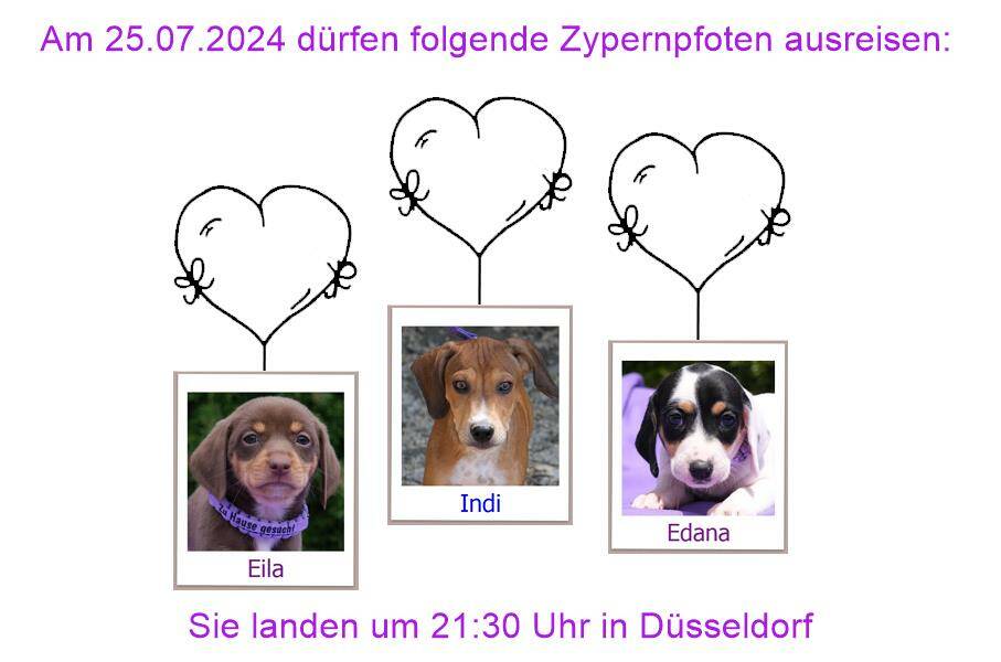 29 04 24 HH