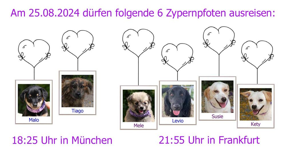 25 08 2024 MUC FRA