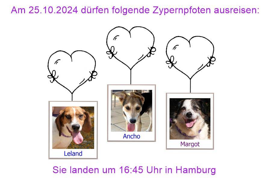 29 04 24 HH