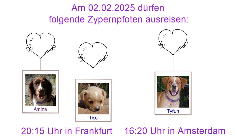 29 04 24 HH
