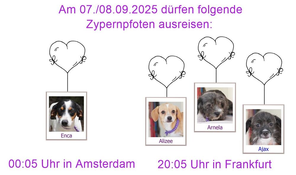 29 04 24 HH
