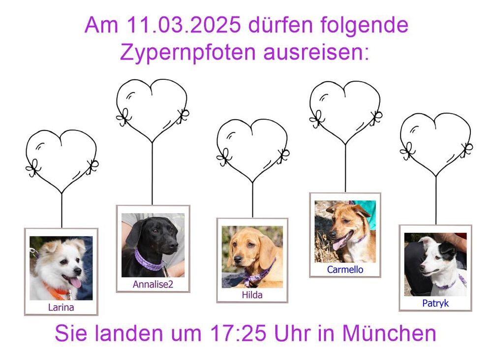 29 04 24 HH