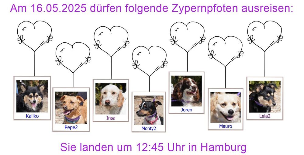 29 04 24 HH