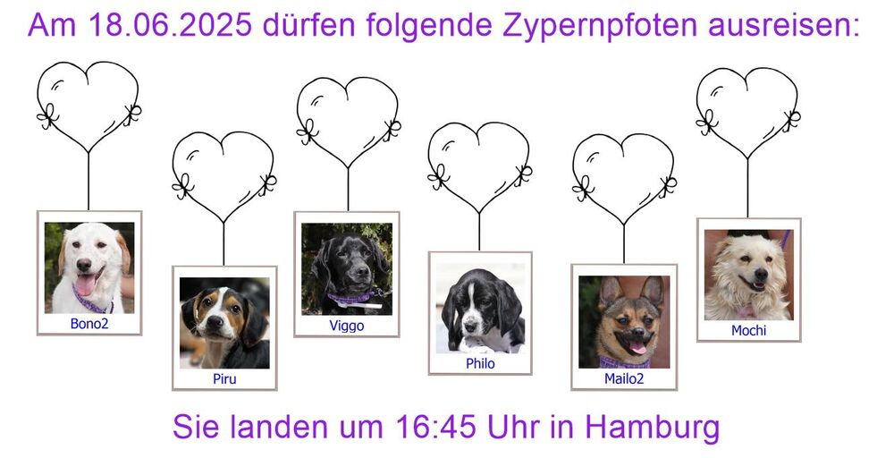 29 04 24 HH