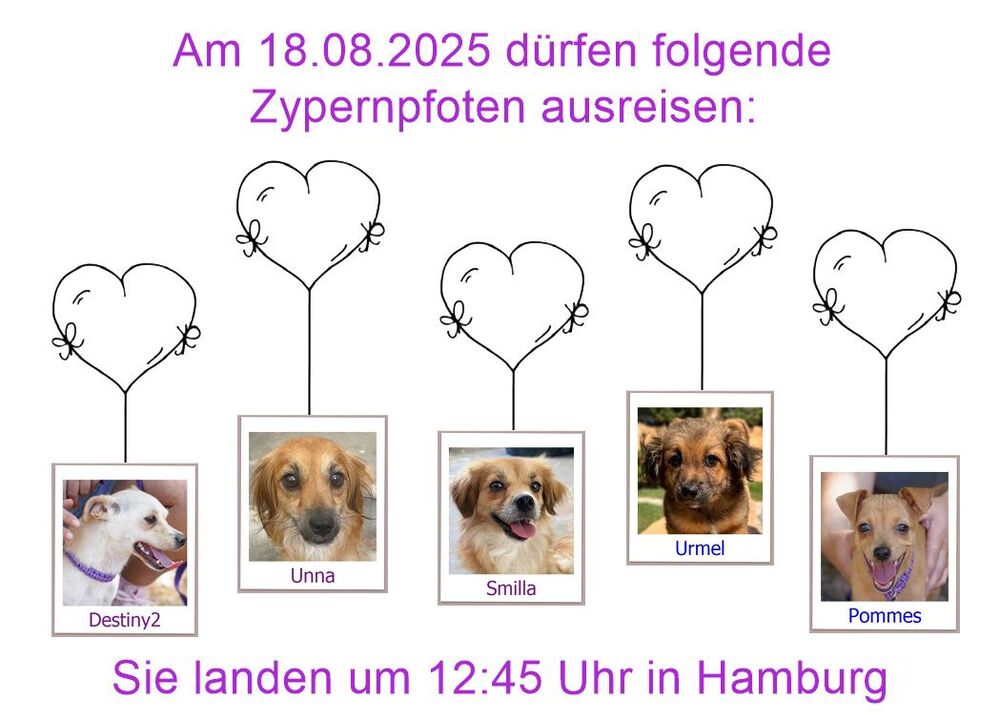 29 04 24 HH