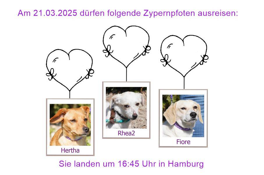29 04 24 HH