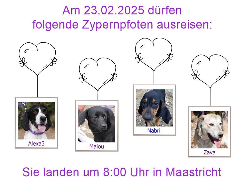 29 04 24 HH