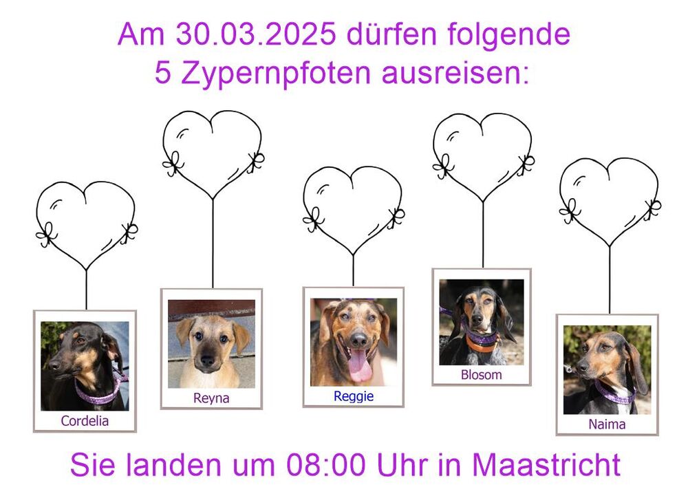 29 04 24 HH