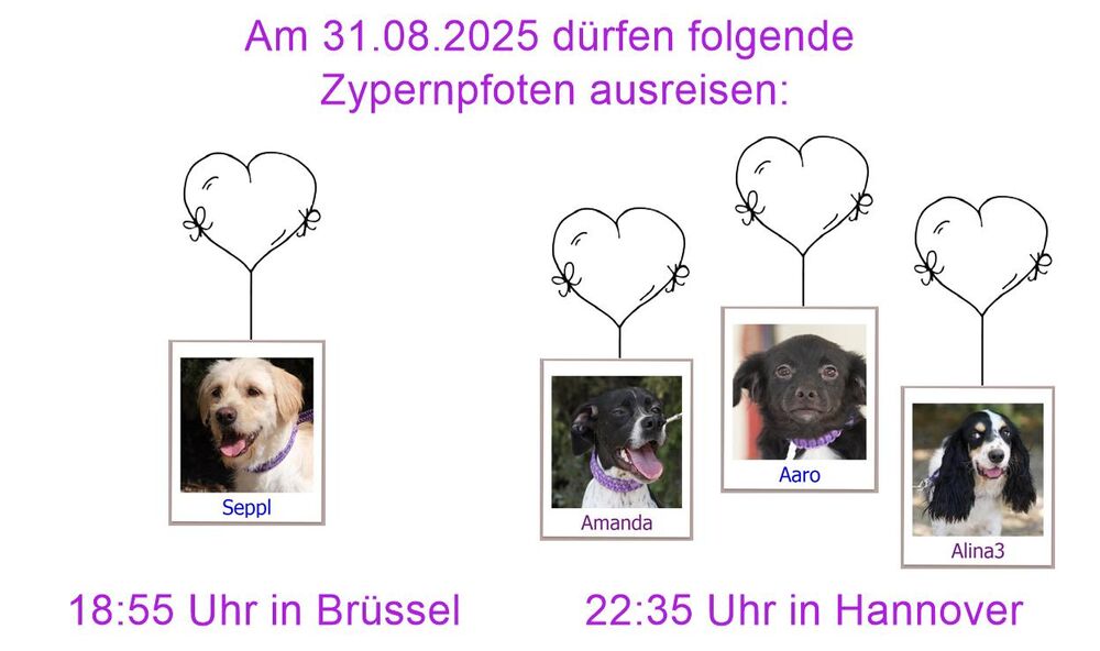 29 04 24 HH
