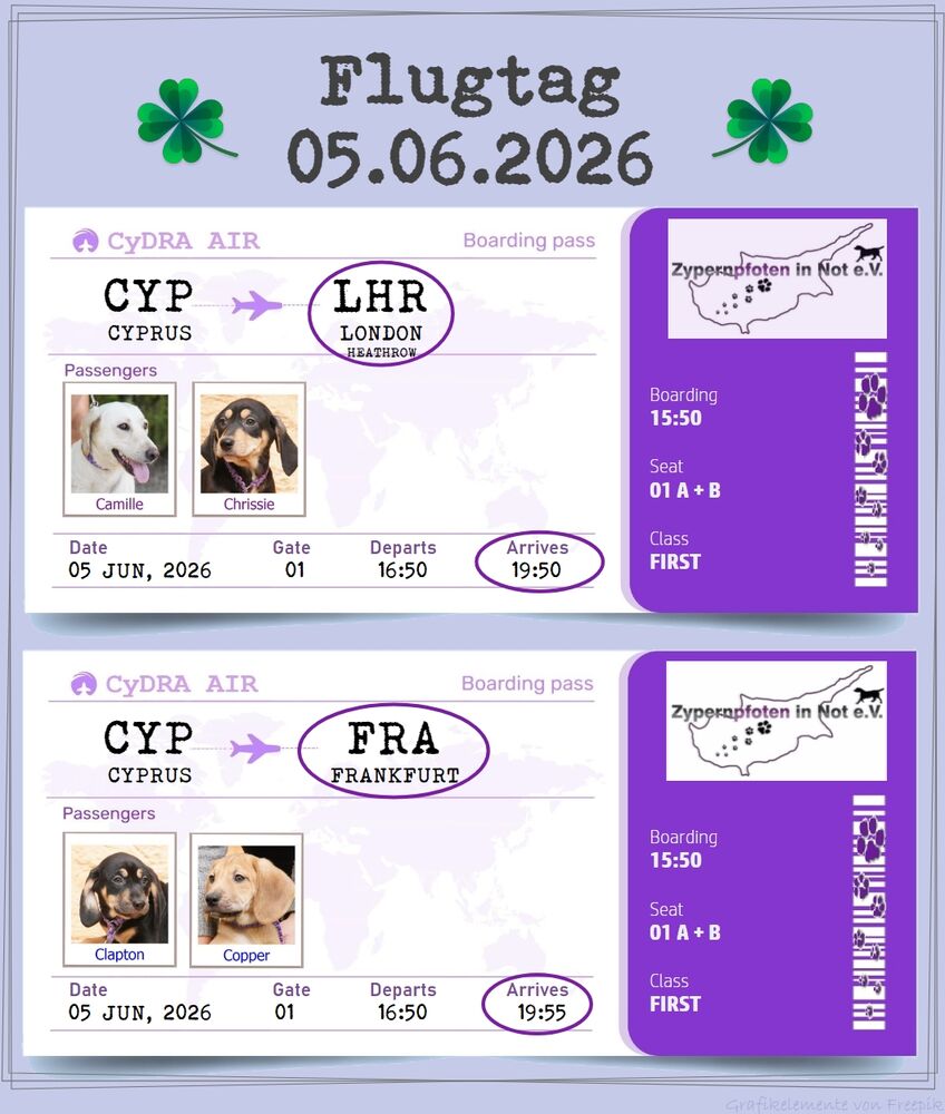 29 04 24 HH